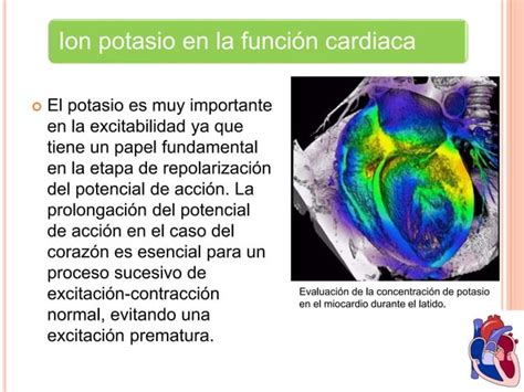 Efecto De Los Iones Potasio Y Calcio Sobre La Función Cardiaca Ppt