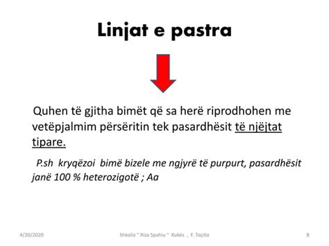 Ligjet E Mendelit PPT