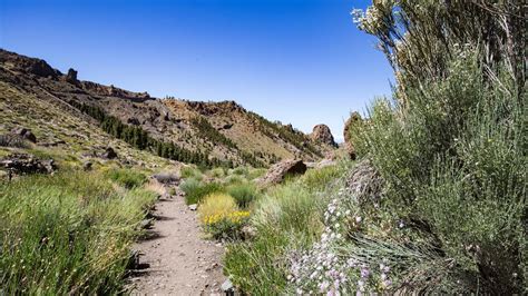 41 Barranco De Erques Offizieller Weg Teide Nationalpark Sunhikes