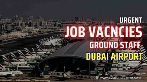 Heavy Bus Driver Job In Dubai Airport In 2024