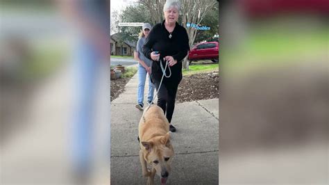 Woman Adopts Senior Dog Named Velcro Who Spent Over 700 Days In Shelter