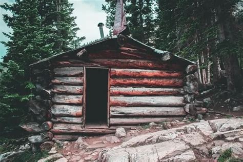 How To Build A Log Cabin From Trees Shtfpreparedness