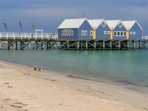 Busselton Jetty at Sunset in West Australia Stock Image - Image of ...