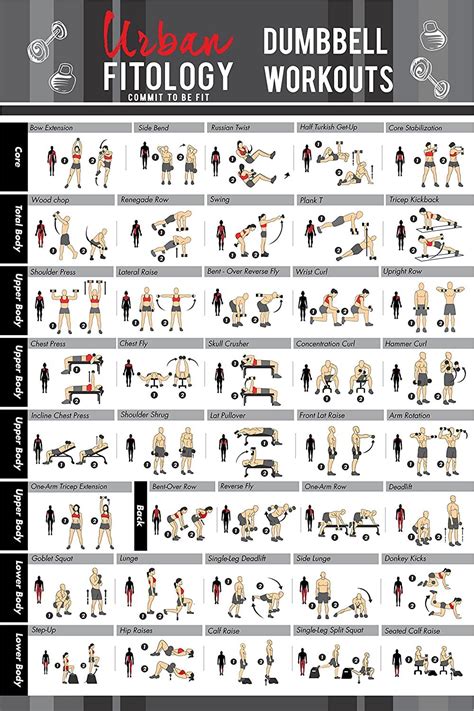 Urban Fitology Dumbbell Exercise Workout Poster For Men And Women 40