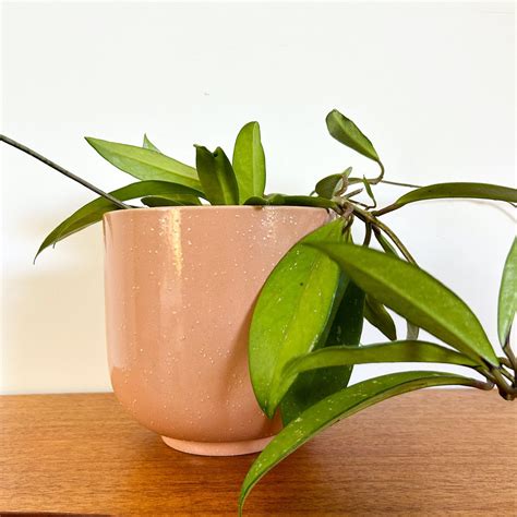 Peachy Pink Ceramic Planter Pot