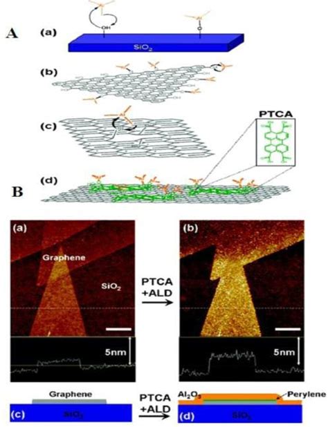 A Schematics Of Atomic Layer Deposition Of Aluminum Oxide Via