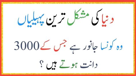 Paheliyan In Urdu With Answer Common Sense Questions And Answer In