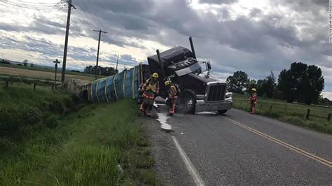 Semi Truck Crashes Carrying 40 000 Pounds Of Bees Cnn