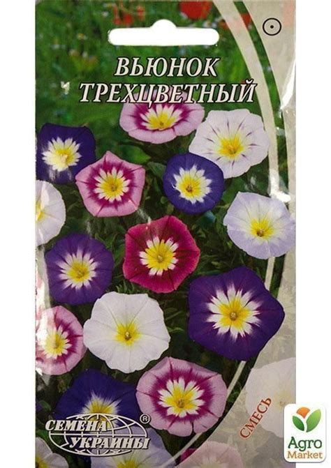 Вьюнок "Трехцветный" ТМ "Семена Украины" 1г купить почтой в Одессе ...