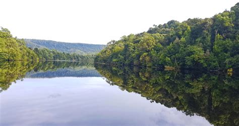 Tasmania's Wild West: Corinna Wilderness Experience