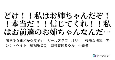 どけ！！私はお姉ちゃんだぞ！！本当だ！！信じてくれ！！私はお前達のお姉ちゃんなんだ！！逃げないでくれ！！ ハーメルン