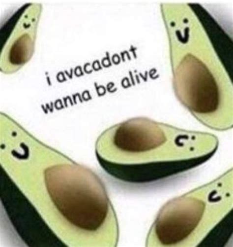 Fuck Dank Memes Amino