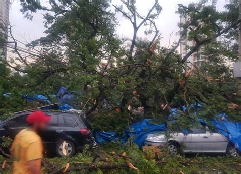 Defesa Civil indica quais lugares de Goiânia devem ser evitados em dias