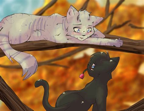 Feathertail And Crowpaw