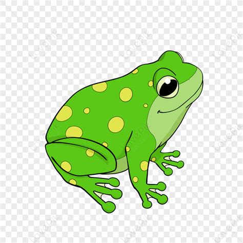 Gambar Katak Kartun Yang Digambar Tangan Dengan Clipart Mata Besarseni