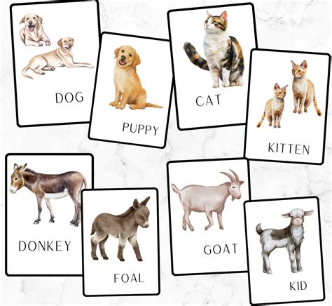 Farm Animals Printable Flashcards Printable Cards Preschool Farm