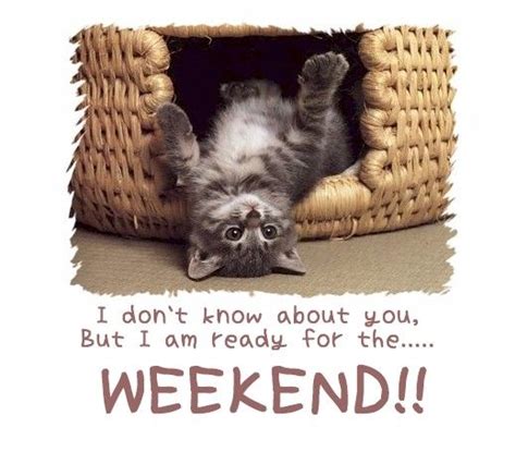 I Am Ready For The Weekend Pictures Photos And Images For Facebook