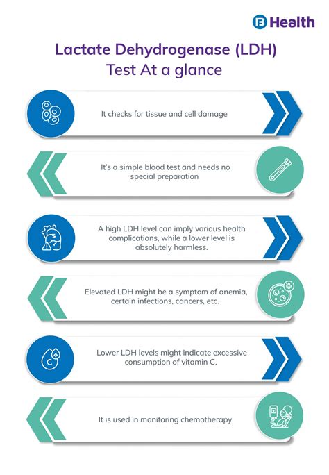 LDH Test Normal Range Types Procedure And Results