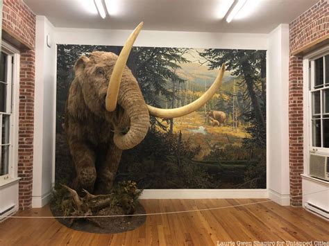 See A Mastodon Tooth Found In Nyc At The Staten Island Museum