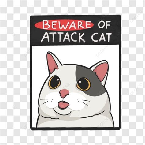 Awas Serangan Ilustrasi Stiker Meme Kucing Melukis Meme Stiker Png