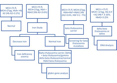 Flow Chart For Carrier Identification Of Beta Thalassemia Download