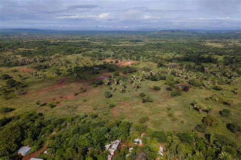 Licencia Ambiental Temporal Como Herramienta Clave Para La