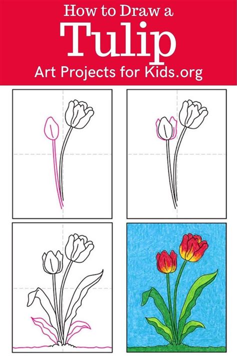 Easy How To Draw A Tulip Tutorial Video And Tulip Coloring Page