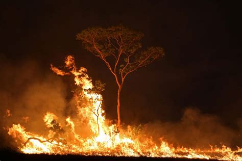 Amazônia Registra Uma Nova Queimada A Cada Dois Minutos Casa Ninja