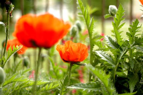 2 Easy Ways to Strengthen your Marriage (and why I won't see "50 Shades