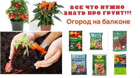 Грунт для огорода на балконе! Самое полезное видео про грунт и ...