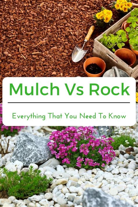 Mulch Vs Rock Everything That You Need To Know