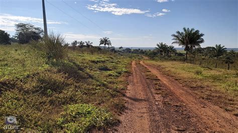 FAZENDA A VENDA NO VALE DO XV GUARANTÃ DO NORTE MATO GROSSO