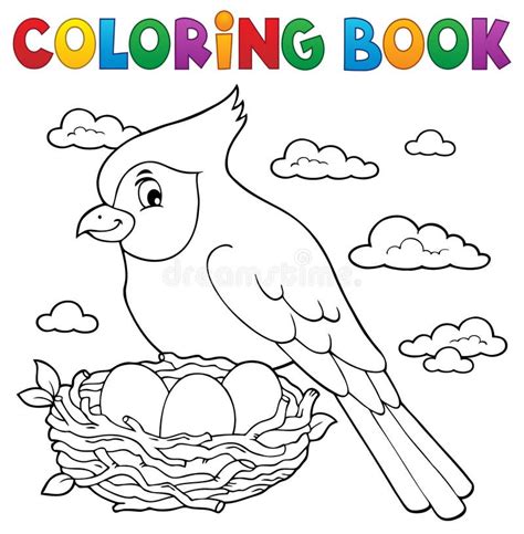 Assunto 3 Do Pássaro Do Livro Para Colorir Ilustração Do Vetor Ilustração De Ninho Artwork