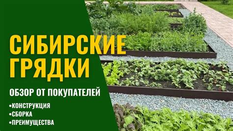 Обзор оцинкованных грядок с полимерным покрытием. Отзыв на Сибирские ...