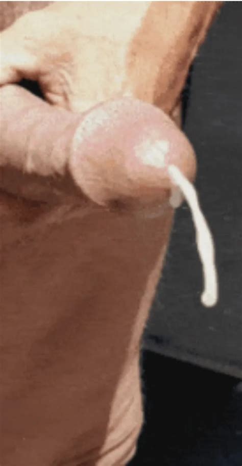 My Cock Nude Pics XHamster