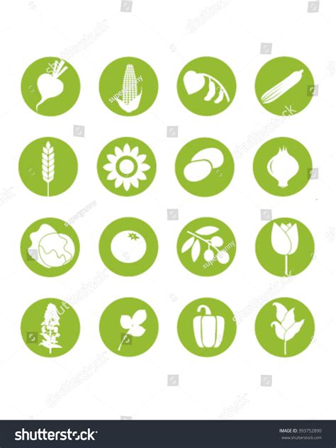 Vegetable Icons Vector Set Vegetable Pictograms Stock Vector (Royalty ...