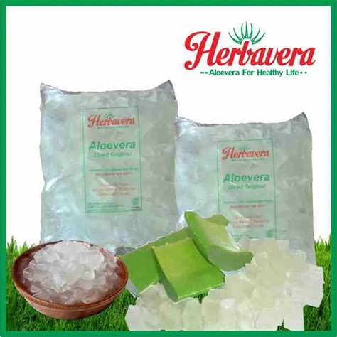 Lidah Buaya Aloevera Kupas 500 Gram Lazada Indonesia