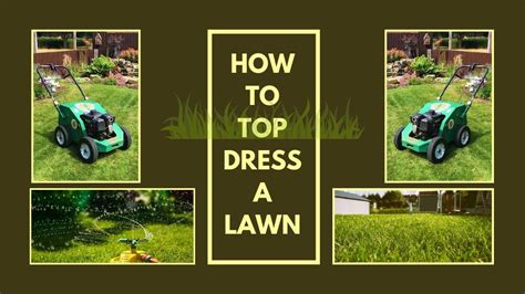 Top Dressing A Lawn How To Top Dress Your Lawn Dwell Gardens