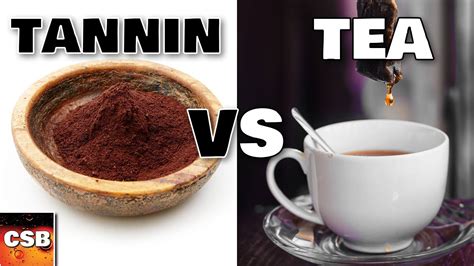 Black Tea VS Wine Tannin NON DEFINITIVE One Year Test YouTube