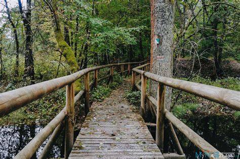 Park Krajobrazowy Lasy Janowskie Atrakcje Mapa Trasy Rowerowe Szlak