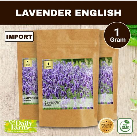 Jual Benih Bunga Lavender English Bibit Lavender 1 Grm Shopee