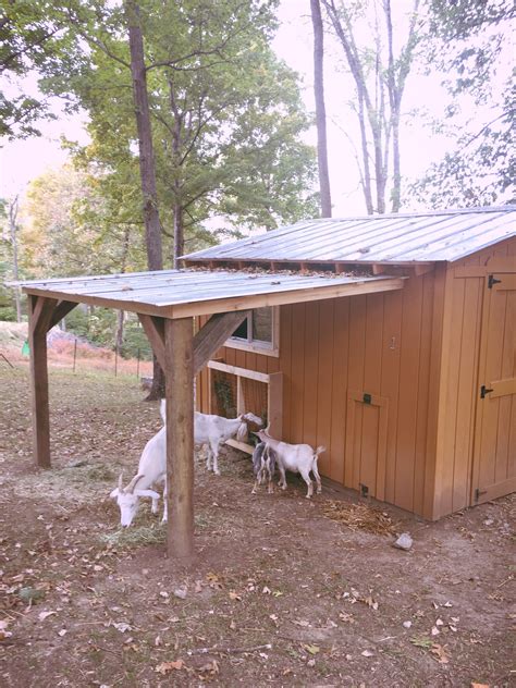 My Favorite Part Of The Lean To On The Goat Barn Is The Rustic Wooden