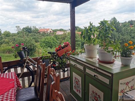 Restoran sa najlepsom bastom Vrsac Naša Kafana etno restoran Vršac