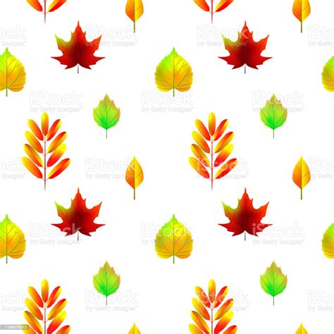 Autumn Leaves Seamless Pattern Isolated On White Vector Illustration