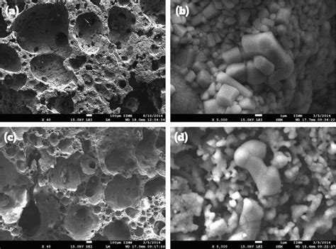 Synthesis And Characterisation Of Tcp Bioglass Zirconia Scaffolds C