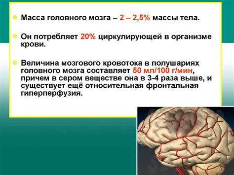 Хроническая ишемия мозга - online presentation