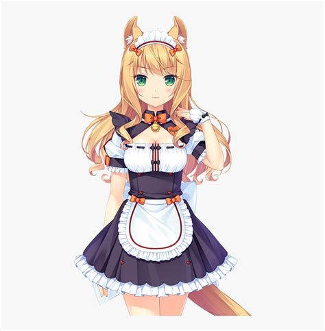 Maple Nekopara Hd Png Download Kindpng