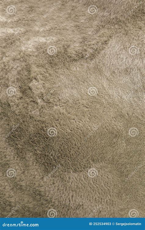 Camel Texture. Camel Skin Close Up. Camel Wool for Background or Texture Stock Image - Image of ...