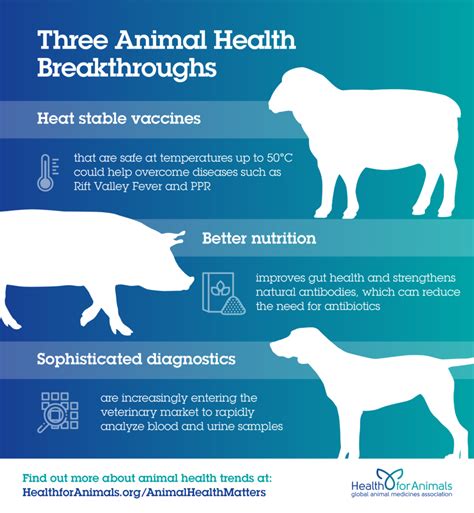 Three Animal Health Breakthroughs Healthforanimals