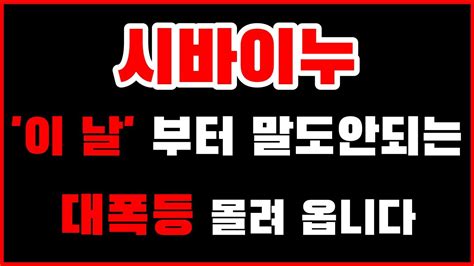 시바이누 대폭등 이 날 입니다 준비하세요 시바이누 시바이누코인전망 시바이누코인 Youtube